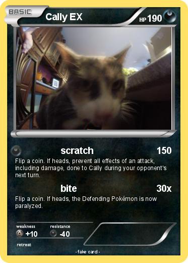 Pokemon Cally EX