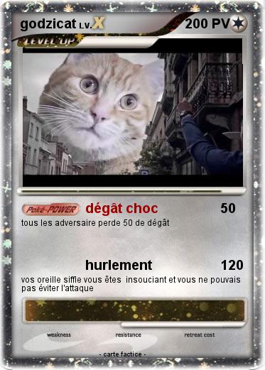 Pokemon godzicat