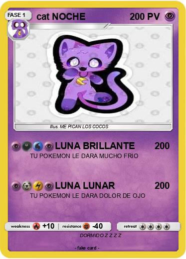 Pokemon cat NOCHE