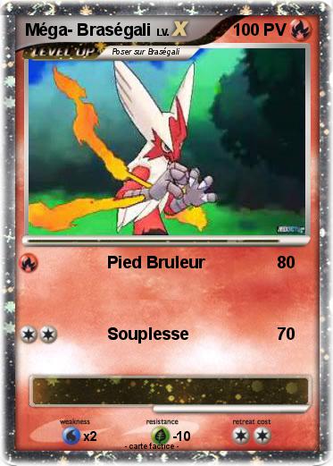 Pokemon Méga- Braségali