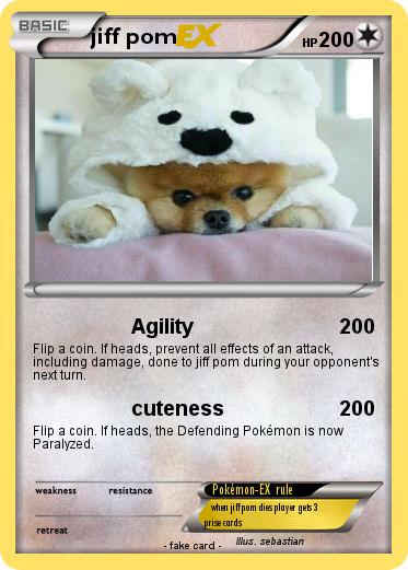 Pokemon jiff pom