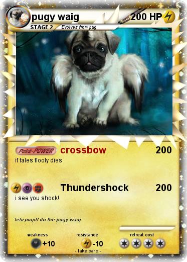 Pokemon pugy waig