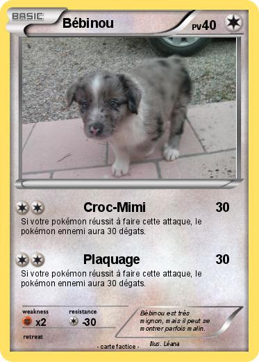 Pokemon Bébinou