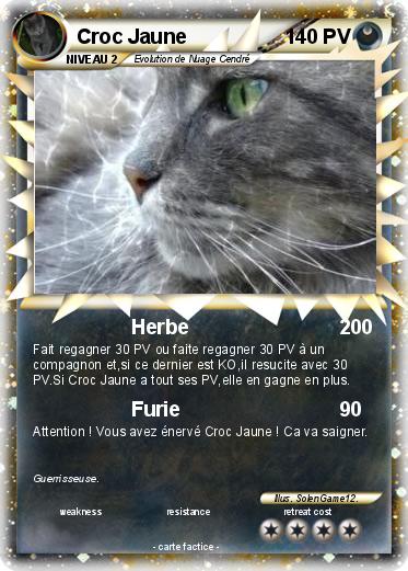 Pokemon Croc Jaune