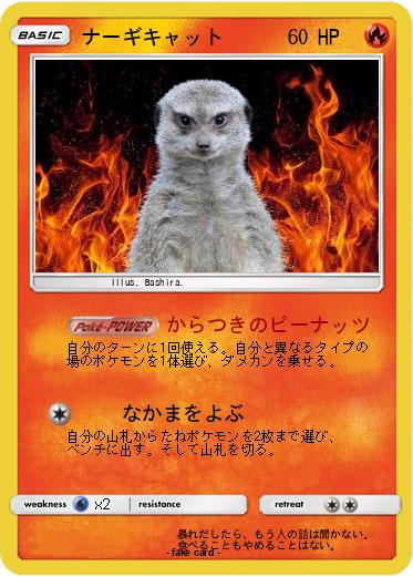Pokemon ナーギキャット