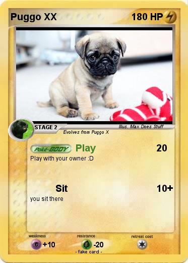 Pokemon Puggo XX