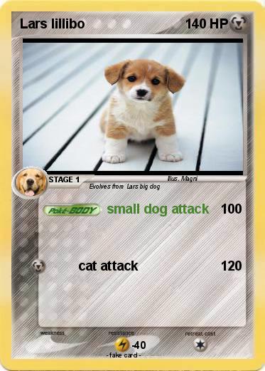 Pokemon Lars lillibo
