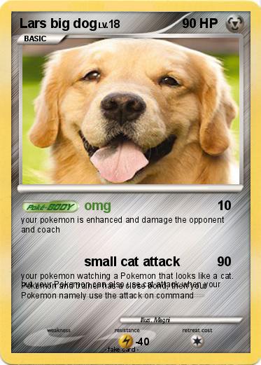Pokemon Lars big dog