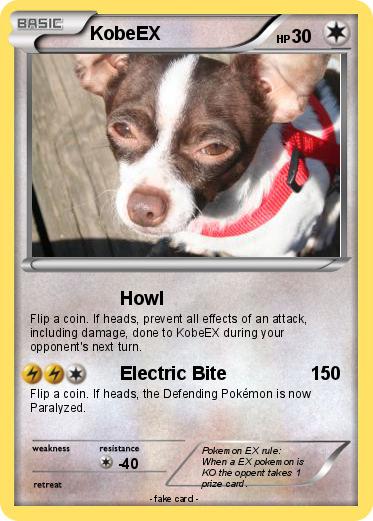 Pokemon KobeEX