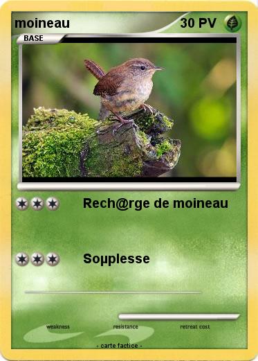 Pokemon moineau