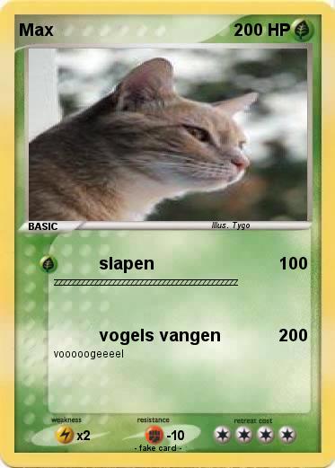 Pokemon Max