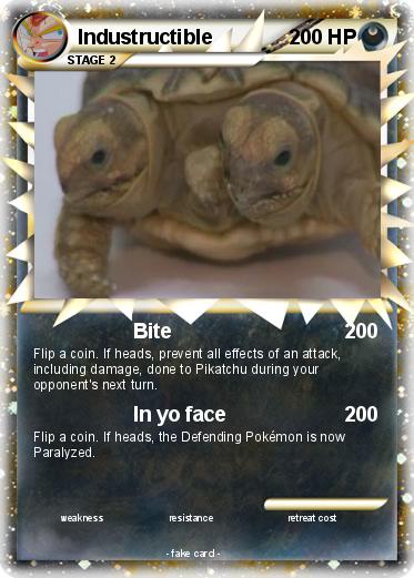 Pokemon Industructible