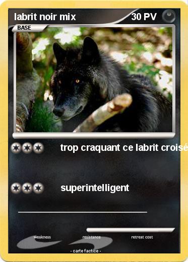 Pokemon labrit noir mix