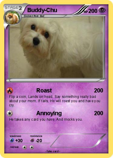 Pokemon Buddy-Chu