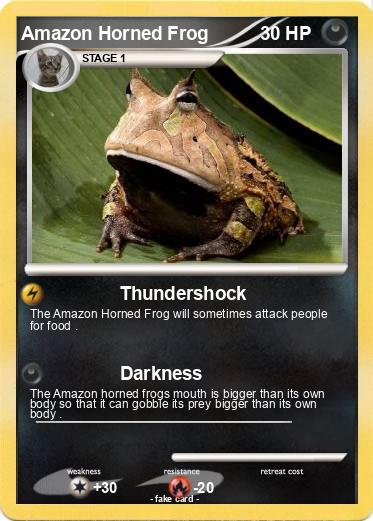 Pokemon Amazon Horned Frog