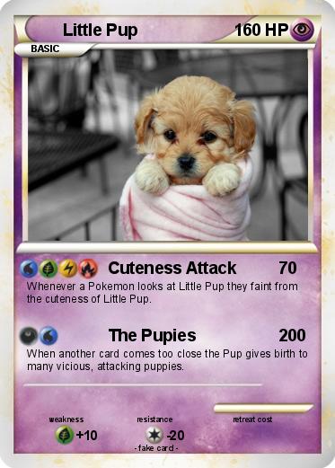 Pokemon Little Pup