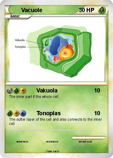 Pokemon Vacuole