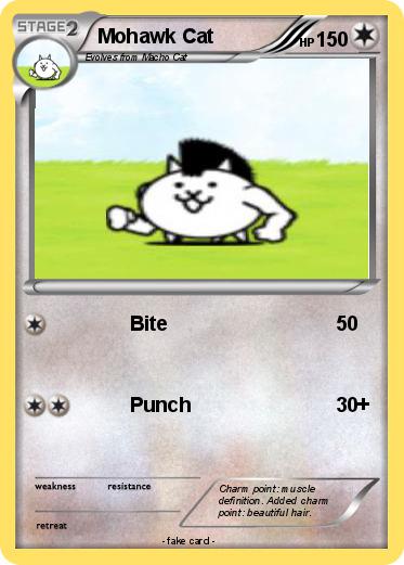 Pokemon Mohawk Cat