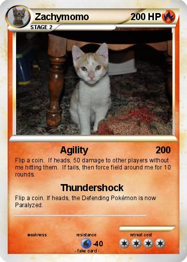 Pokemon Zachymomo