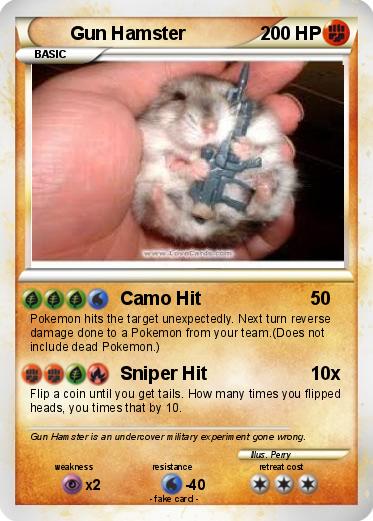 Pokemon Gun Hamster