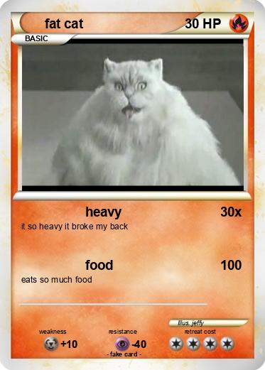 Pokemon fat cat