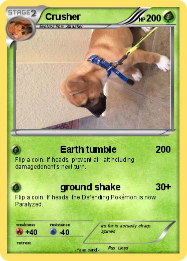Pokemon Crusher