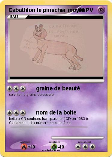 Pokemon Cabathlon le pinscher moyen