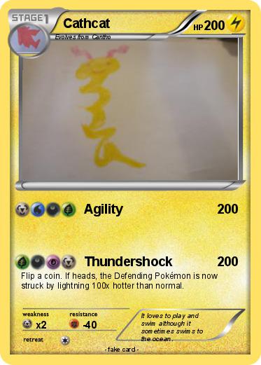 Pokemon Cathcat