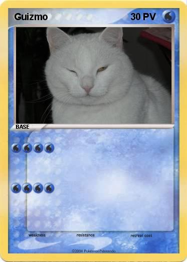 Pokemon Guizmo