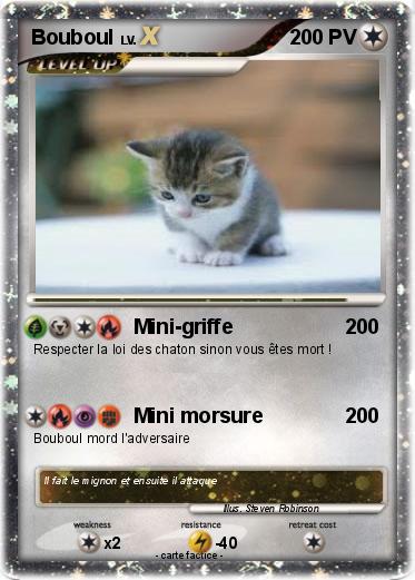 Pokemon Bouboul