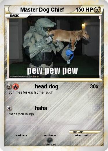 Pokemon Master Dog Chief