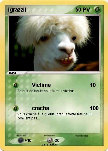 Pokemon igrazzil
