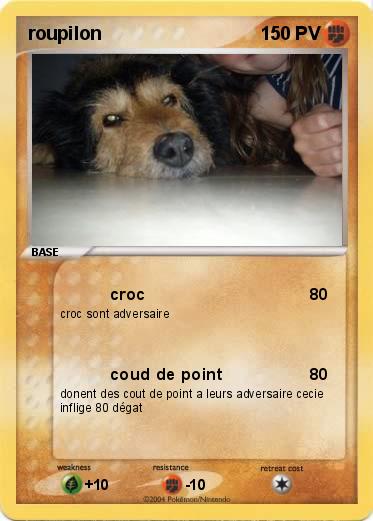 Pokemon roupilon
