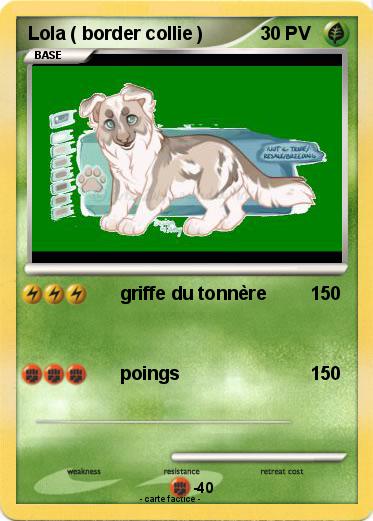 Pokemon Lola ( border collie )