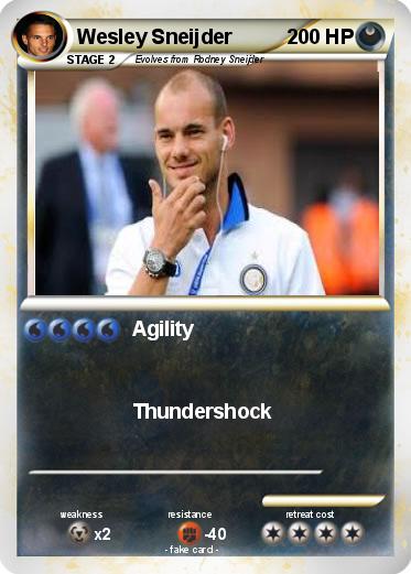 Pokemon Wesley Sneijder