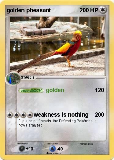 Pokemon golden pheasant