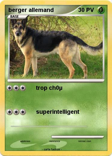 Pokemon berger allemand