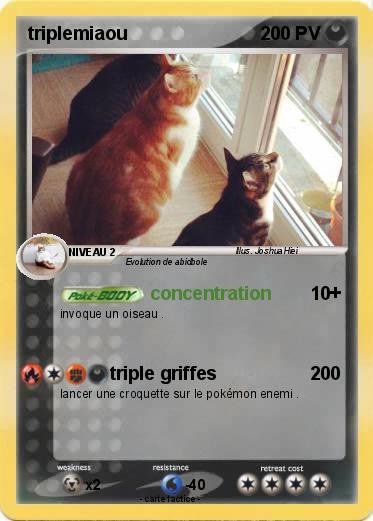 Pokemon triplemiaou