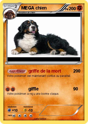 Pokemon MEGA chien