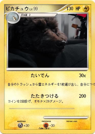 Pokemon ピカチュウ