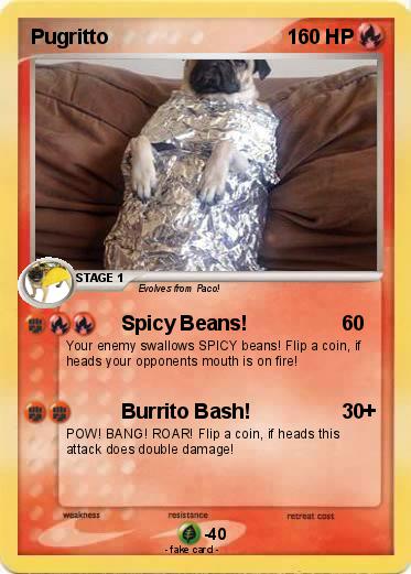 Pokemon Pugritto