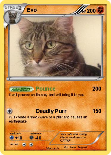 Pokemon Evo