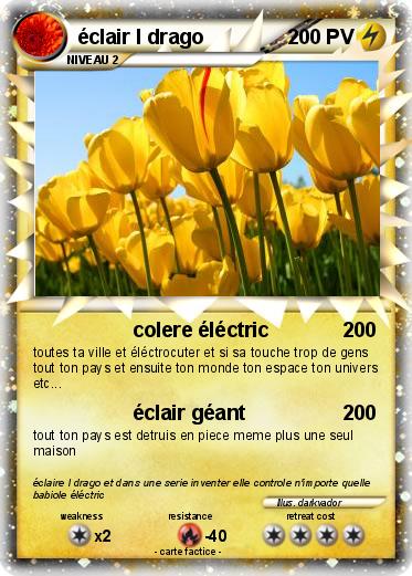 Pokemon éclair l drago