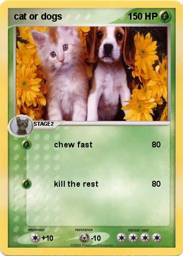 Pokemon cat or dogs 
