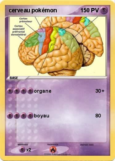 Pokemon cerveau pokémon