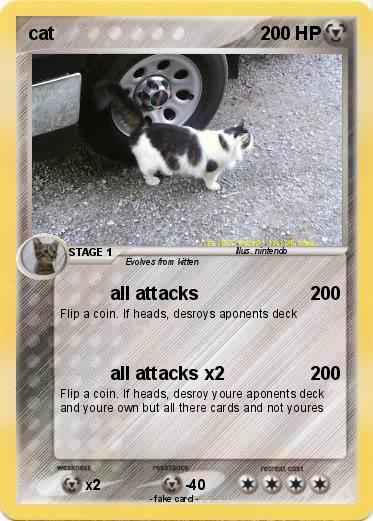 Pokemon cat