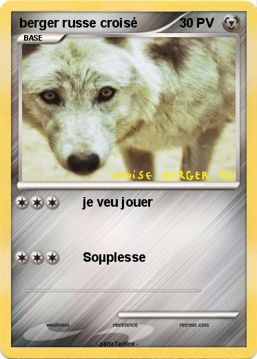 Pokemon berger russe croisé