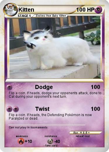 Pokemon Kitten