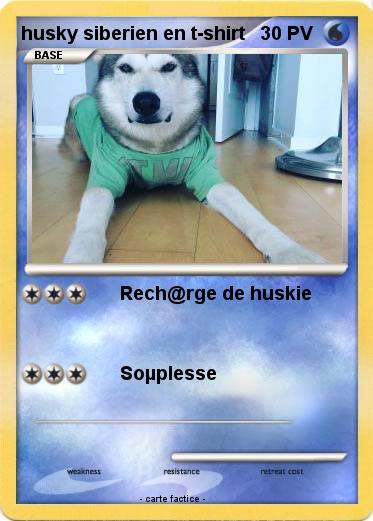 Pokemon husky siberien en t-shirt