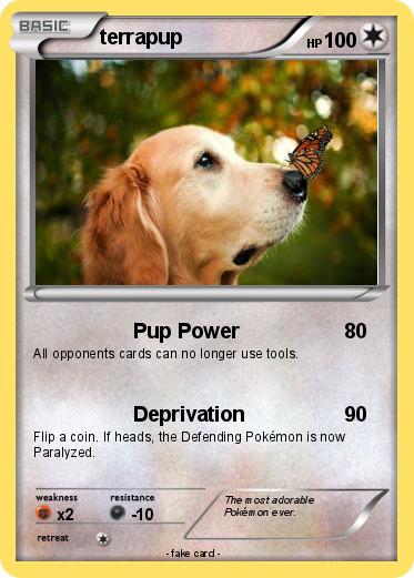 Pokemon terrapup